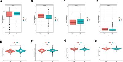 Identification of a Methylation-Regulating Genes Prognostic Signature to Predict the Prognosis and Aid Immunotherapy of Clear Cell Renal Cell Carcinoma